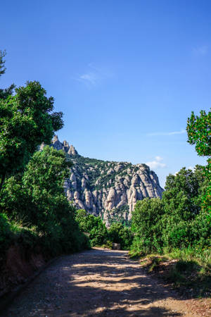 Montserrat Forest Trail Wallpaper