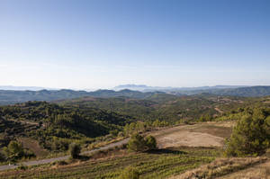 Montserrat Road Field Wallpaper