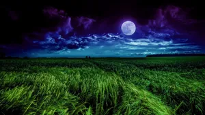 Moon 4k Blue Aesthetic Grass Field Wallpaper