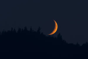 Moon 4k Orange Aesthetic Over Forest Wallpaper