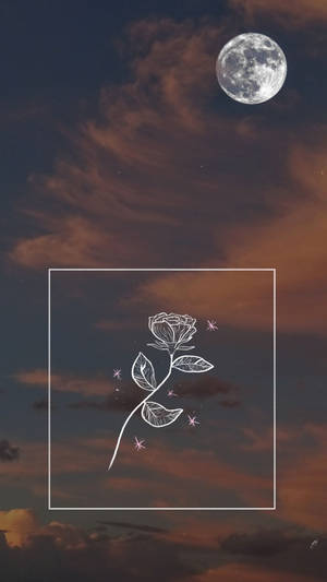 Moon Aesthetic Rose Sketch Wallpaper