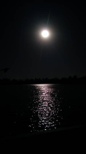 Moon Phone Over The Sea Wallpaper