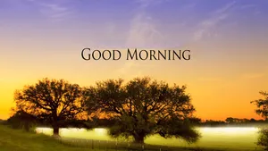 Morning Purple Sky Trees Wallpaper