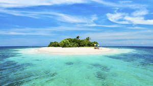 Morrocoy Ocean View Wallpaper