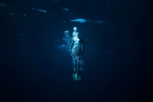 Most Beautiful Hd Underwater Wallpaper