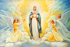Mother Mary Our Lady Of Assumption Wallpaper