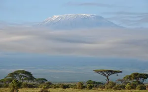 Mount Kilimanjaro Scenery Wallpaper