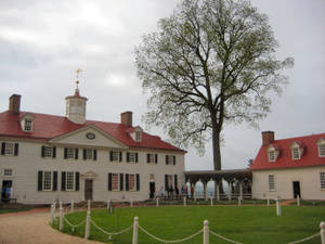 Mount Vernon Solitary Tree Wallpaper