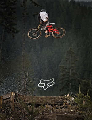 Mountain Bike Iphone With Green Forest Wallpaper