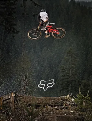 Mountain Bike Iphone With Green Forest Wallpaper