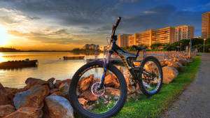 Mountain Bike Near Bay Wallpaper