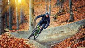 Mountain Biking Up On Hill Autumn Season Wallpaper