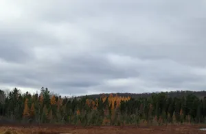 Mountain Park Horizon Wallpaper