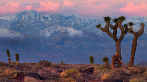 Mountain Ranges Death Valley Wallpaper