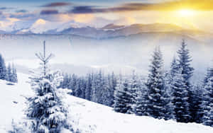 Mountain Top Winter Wonderland Desktop Wallpaper