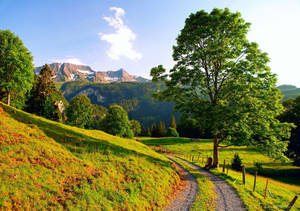 Mountain Trail On Summer Season Wallpaper