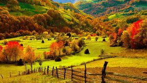 Mountain Trees Fall Farm Wallpaper