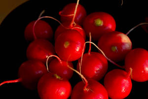 Mouthwatering Cherry Globe Radish Wallpaper