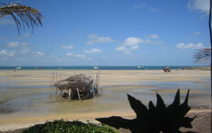 Mozambique Low Tide Wallpaper