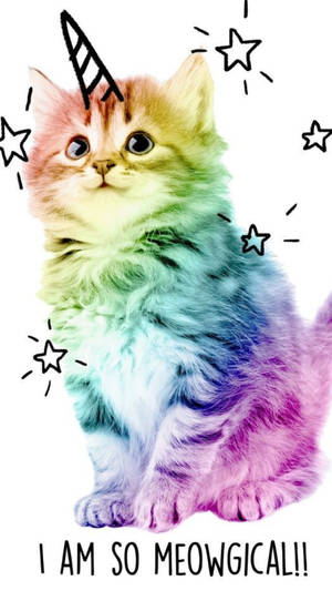 Multicolor Cute Kitty Wallpaper