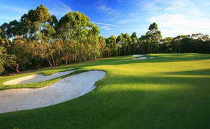 Multiple Sand Traps Golfing Desktop Wallpaper