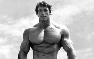 Muscular Physique Of Arnold Schwarzenegger Wallpaper