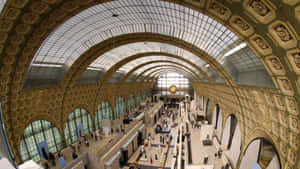 Musée D'orsay Glass Canopy Wallpaper