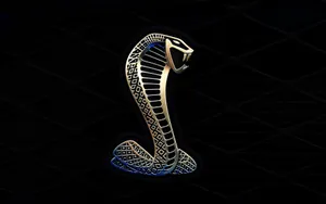 Mustang Hd Cobra Logo Black Wallpaper