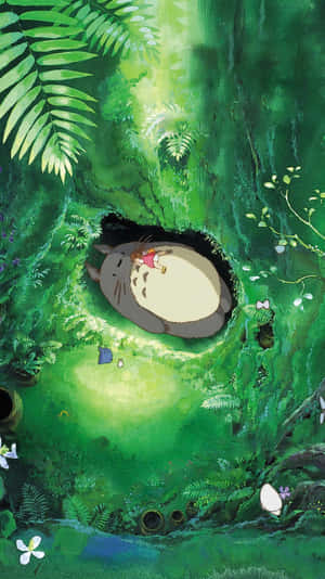 My Neighbor Totoro Studio Ghibli Phone Wallpaper