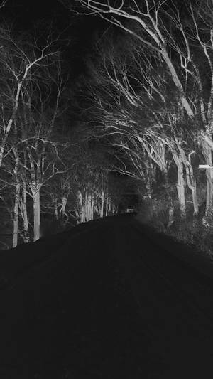 Mysterious Foggy Forest Path At Night Wallpaper