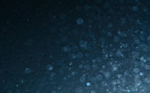 Mysterious Portal In Dark Forest Wallpaper