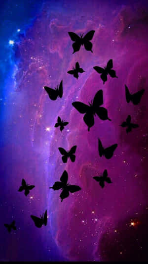 Mystical Dark Butterfly Wallpaper Wallpaper