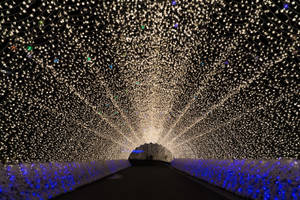 Nagoya Nabana No Sato Tunnel Wallpaper