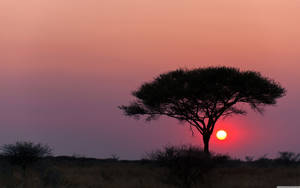 Namibia Etosha National Park Wallpaper