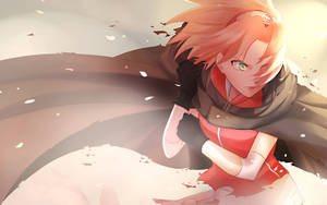 Naruto Anime Sakura Black Cape Wallpaper