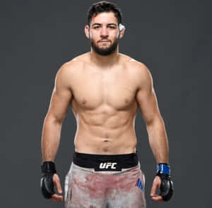 Nassourdine Imavov Ufc Fighter Portrait Wallpaper