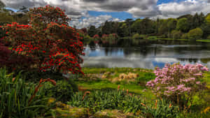 National Trust Mount Stewart In Northern Ireland Wallpaper