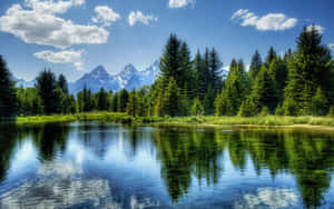 Natural Background Lake Forest Wallpaper