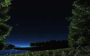 Natural Grass Field Under Starry Sky Wallpaper