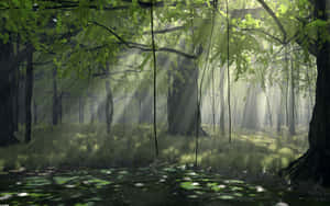 Nature Beckons You To Explore Anime Forest Wallpaper
