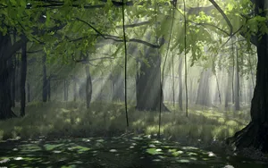 Nature Beckons You To Explore Anime Forest Wallpaper