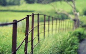 Nature Blurred Metal Fence Wallpaper