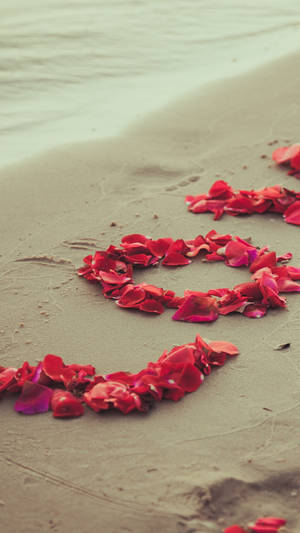 Nature Love Petals On The Beach Wallpaper