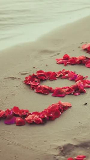 Nature Love Petals On The Beach Wallpaper