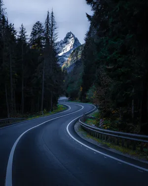 Nature Phone Road Forest Curve Wallpaper