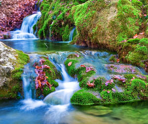 Nature Spring Falls Wallpaper