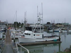 Navy Pier Marina Small Boats Wallpaper