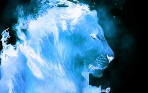 Negative Fire Lion Photo Wallpaper