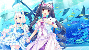 Nekopara Characters Visiting An Aquarium Wallpaper