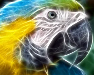 Neon Animal Macaw Bird's Head Wallpaper